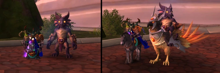 pet.jpg